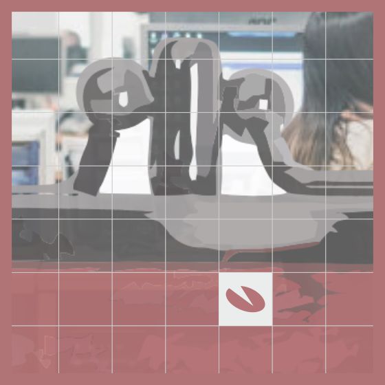 visma.net erp systeem analyse